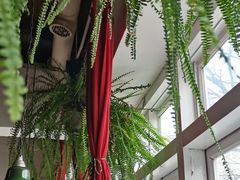 -雕刻时光咖啡馆(北师大店)