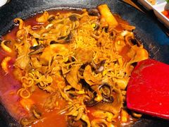 八爪鱼微辣-红辣椒八爪鱼特色韩国料理