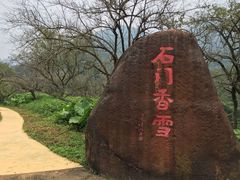 -广州市石门国家森林公园