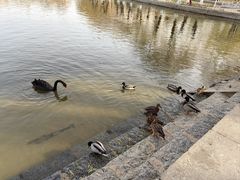 -中国农业博物馆