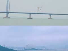 -潭村(地铁站)