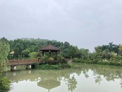 -林丰温泉度假山庄