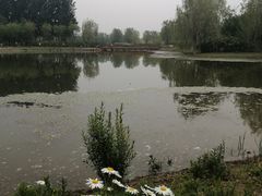 -东郊湿地公园