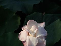 -重元寺