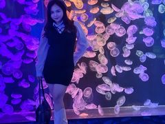-顺德南宏海立方海洋公园