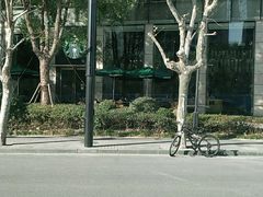 -星巴克臻选(湖滨道店)