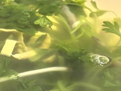 -鸿运酒楼