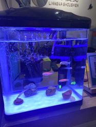 -盖氏丹辰·良咔瘦身·减脂塑形