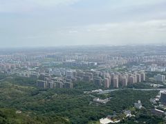 -杭州半山国家森林公园