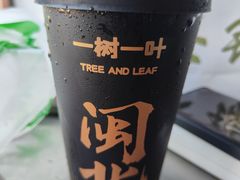 -一树一叶·福建茶档(石鼓路店)