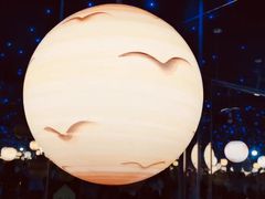 -深圳独角兽星空艺术馆