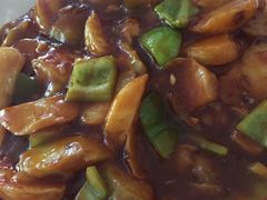 -双新垂钓园