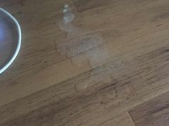 -达爱动物医院·犬猫分区·CT·复杂眼科(远洋山水分院)