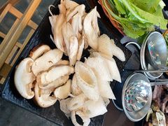 -蘑统田下·野生菌火锅