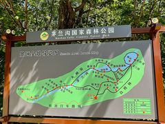 -茅兰沟国家森林公园