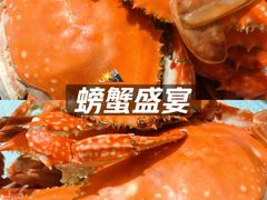 -桃源市场(解放路店)