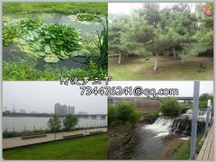 景点-长白岛森林公园