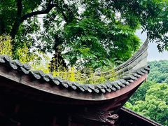 -韬光茶庵
