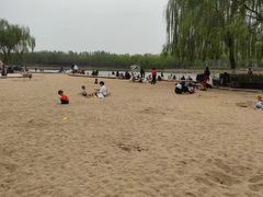 -大兴滨河森林公园