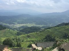 -紫鹊界梯田景区