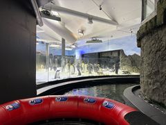 -悉尼海洋生物水族馆