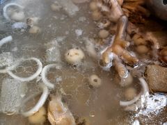 -润园四季椰子鸡火锅(南山海岸城店)