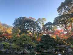-醍醐寺