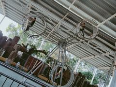 -泉州海丝野生动物世界