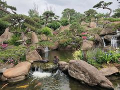 -罗红摄影艺术馆