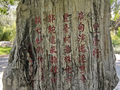 -丰台花园