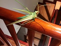 -天目湖御水温泉·度假酒店