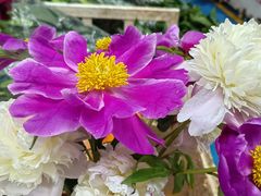 -昆明国际花卉拍卖交易中心