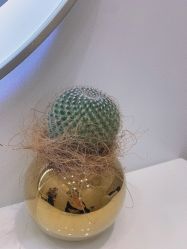 -YESIDO椰岛造型烫发染发