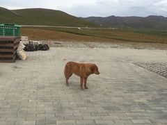 -天下黄河第一湾