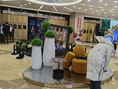 -红星美凯龙北京至尊MALL(东四环中路店)