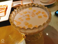 -南枝记