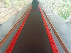 -墨江北回归线标志园