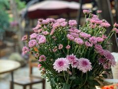 -园林美食城·本土农家菜(杨和镇店)