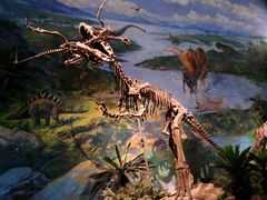 -自贡恐龙博物馆