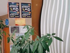 -圣贝口腔(海淀店)