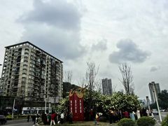 -大龙山(地铁站)