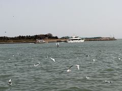 -日照世帆赛基地