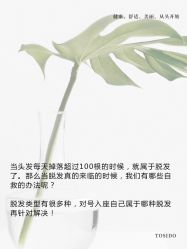 -愉己冥想·护发专门店