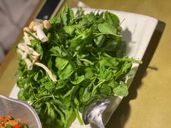 -花溪雨·森林餐厅(石基店)