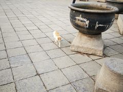 -西安化觉巷清真大寺