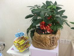 -印奈儿美甲美睫&韩式皮肤管理