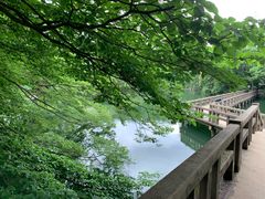 -井之头恩赐公园