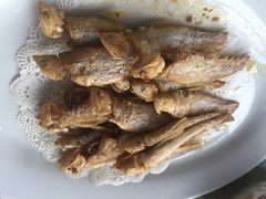 -喜相逢海鲜美食城(五邑平价农副产品批发市场店)