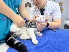 -pd派德宠物中心医院24H急重症·眼科中心·血液透析中心(嵩山北路店)