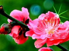 -野三坡百草畔景区
